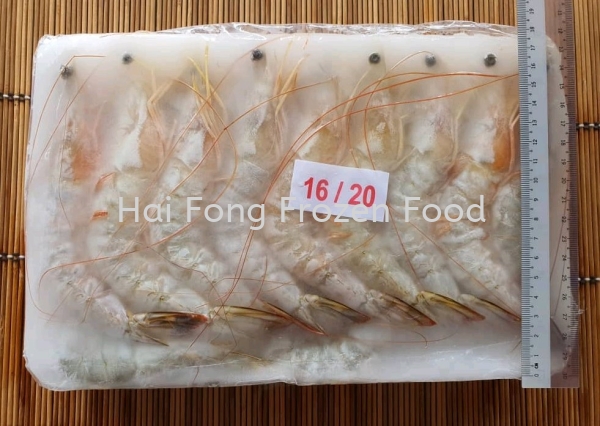 Sabah White Prawn (16/20) (AA)  Sea White Prawn Frozen Shrimp Kuala Lumpur (KL), Malaysia, Selangor Supplier, Suppliers, Supply, Supplies | Hai Fong Frozen Food Sdn Bhd