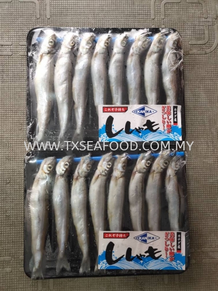 SHISAMO Aഺ㣩 FROZEN WHOLE FISH FROZEN FISH Selangor, Klang, Malaysia, Kuala Lumpur (KL) Supplier, Suppliers, Supply, Supplies | TX SEAFOOD SDN. BHD.