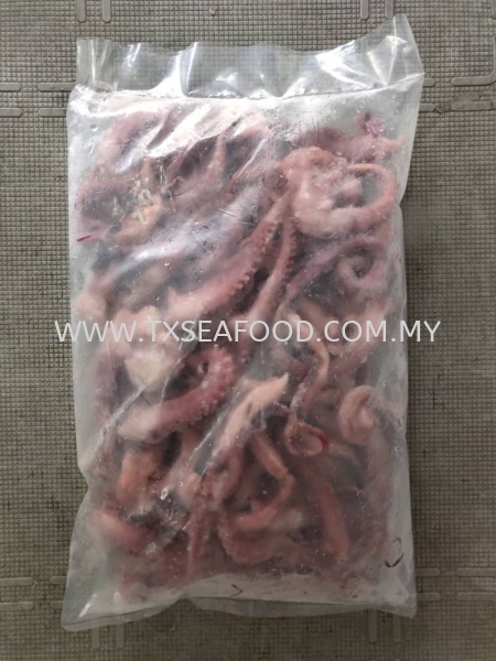 SOTONG LEG FROZEN SOTONG Selangor, Klang, Malaysia, Kuala Lumpur (KL) Supplier, Suppliers, Supply, Supplies | TX SEAFOOD SDN. BHD.