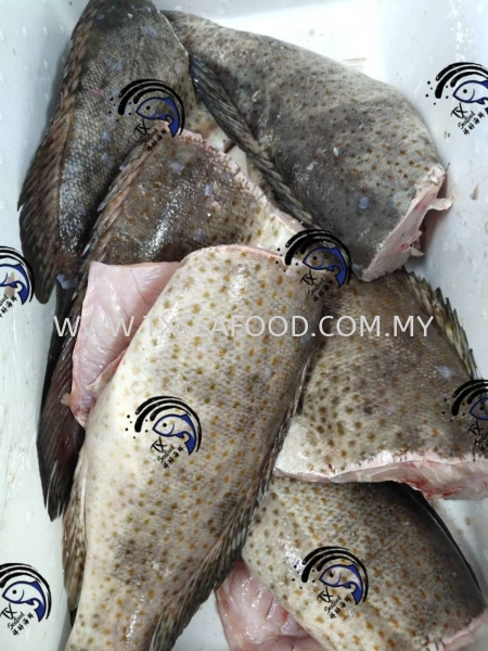 Groupe Boby ʯFRESH FROZEN FISH MEAT FROZEN FISH Selangor, Klang, Malaysia, Kuala Lumpur (KL) Supplier, Suppliers, Supply, Supplies | TX SEAFOOD SDN. BHD.