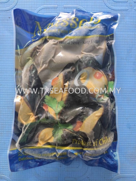 BIG BLUE MUSSELCHILE FROZEN SHELL Selangor, Klang, Malaysia, Kuala Lumpur (KL) Supplier, Suppliers, Supply, Supplies | TX SEAFOOD SDN. BHD.