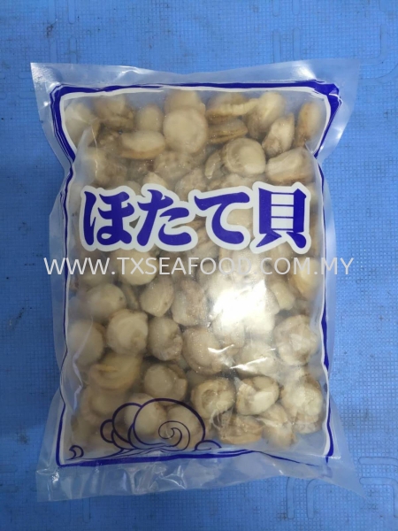 100/150 HOTATEGRADE A FROZEN SHELL Selangor, Klang, Malaysia, Kuala Lumpur (KL) Supplier, Suppliers, Supply, Supplies | TX SEAFOOD SDN. BHD.