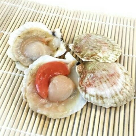 Half Shell Scallop Roe Frozen Shell English Version Selangor, Malaysia, Kuala Lumpur (KL), Seri Kembangan Supplier, Supply, Wholesaler, Retailer | C H Seah Fishery