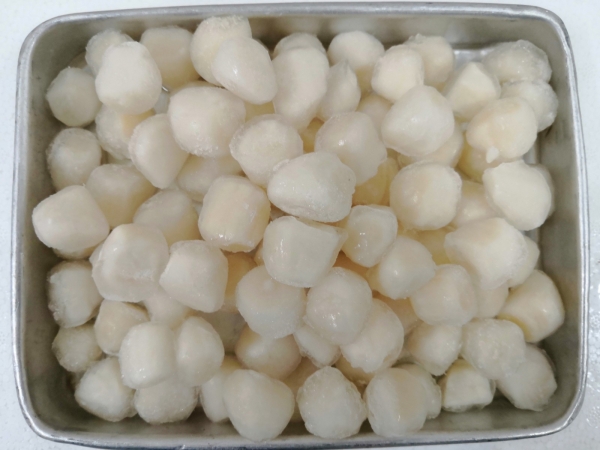 Scallop Meat Others Frozen Seafood English Version Selangor, Malaysia, Kuala Lumpur (KL), Seri Kembangan Supplier, Supply, Wholesaler, Retailer | C H Seah Fishery