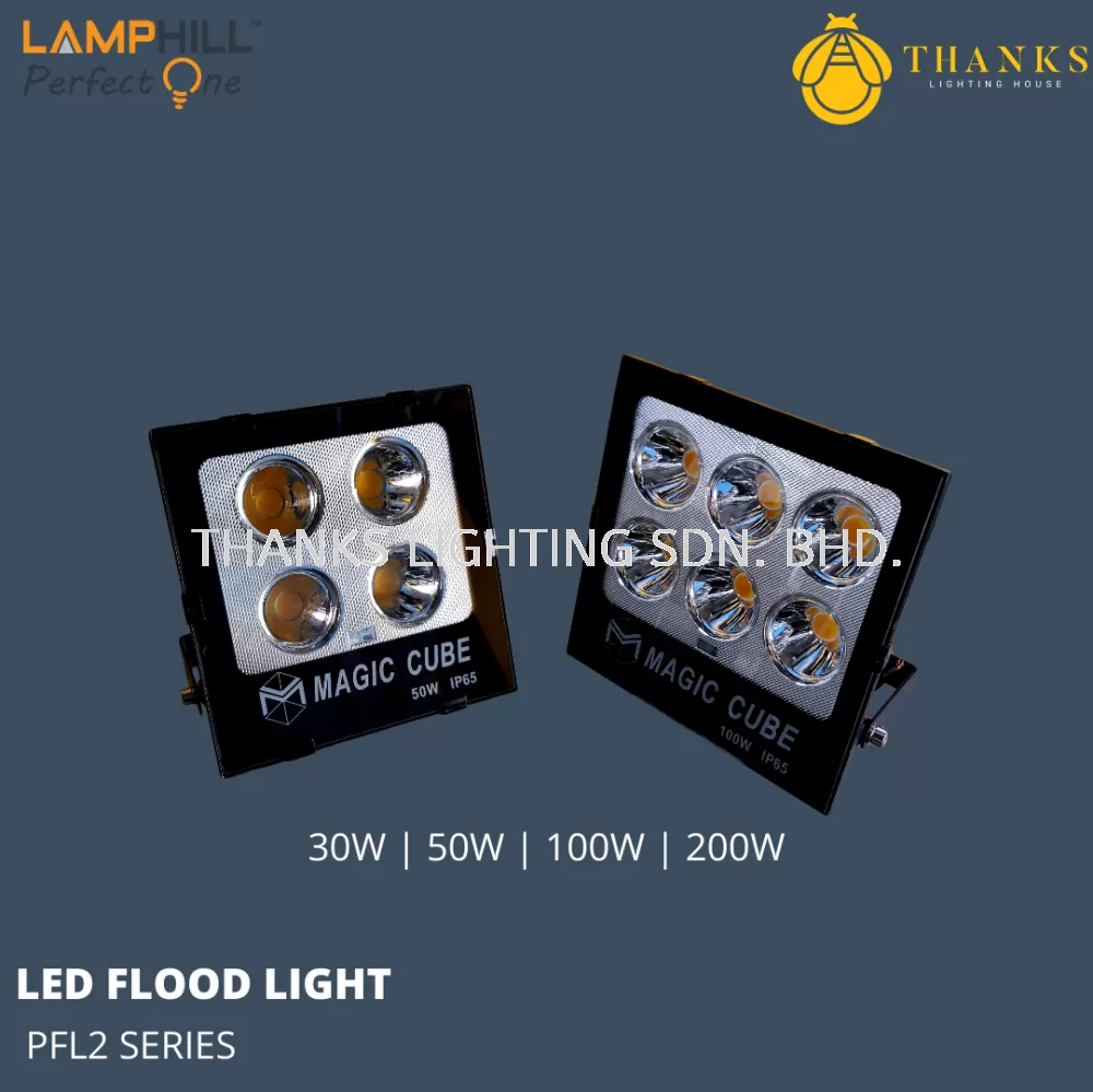 PFL2 30W 50W 100W 200W LED Flood Light