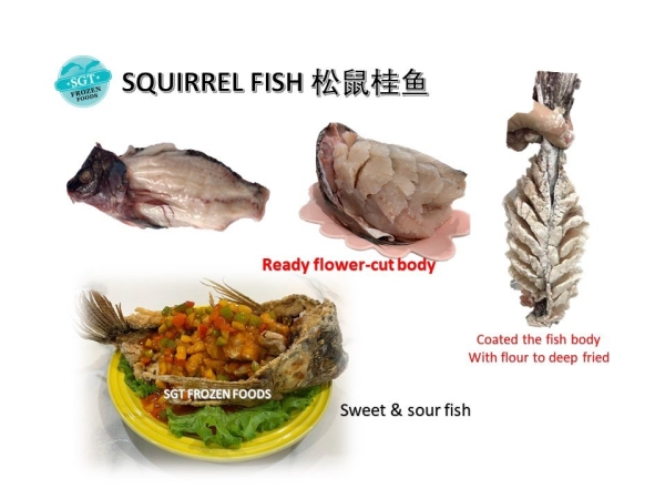 Squirrel Fish (Cleaned) Fishes Frozen Seafood Selangor, Malaysia, Kuala Lumpur (KL), Puchong Supplier, Suppliers, Supply, Supplies | SGT Frozen Foods Sdn Bhd