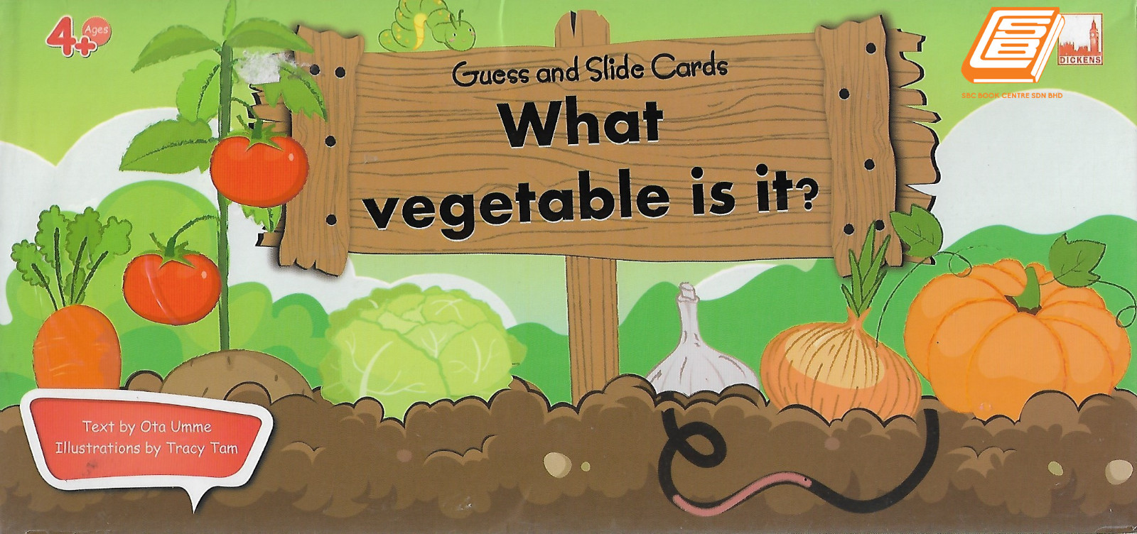 What Vegetable Is It 