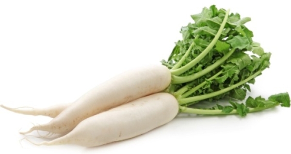 White Radish Vegetables Sarawak, Malaysia, Kuching, Johor Bahru, JB Supplier, Suppliers, Supply, Supplies | Foodmen Sdn Bhd