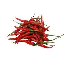 Red Chilli padi