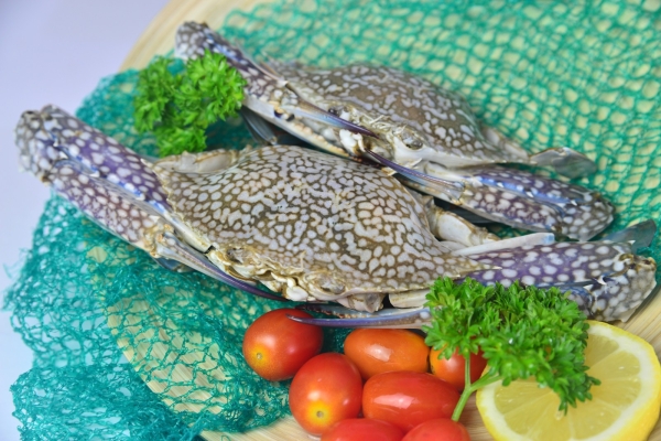 Flower Crab Whole Seafood Sarawak, Malaysia, Kuching, Johor Bahru, JB Supplier, Suppliers, Supply, Supplies | Foodmen Sdn Bhd