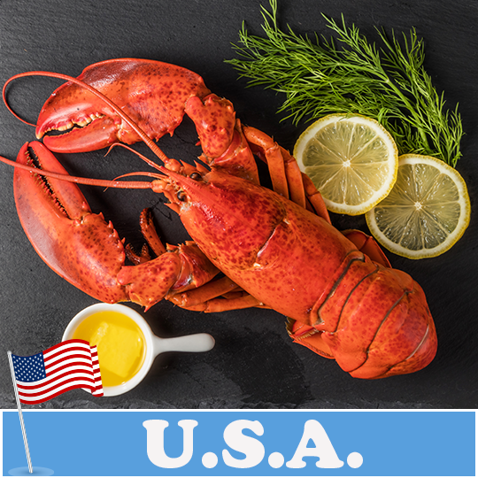 Boston Lobster Seafood Sarawak, Malaysia, Kuching, Johor Bahru, JB Supplier, Suppliers, Supply, Supplies | Foodmen Sdn Bhd