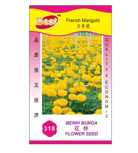 318 花种 French Marigold 万寿菊