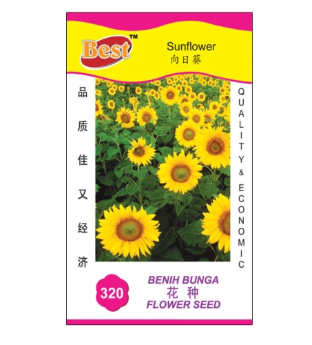 320 花种 Sunflower 向日葵