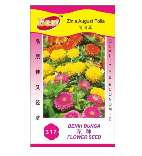 317 花种 Zinia August Folia 百日草