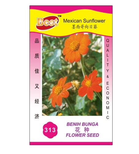 313 花种 Mexican Sunflower 墨西哥向日葵