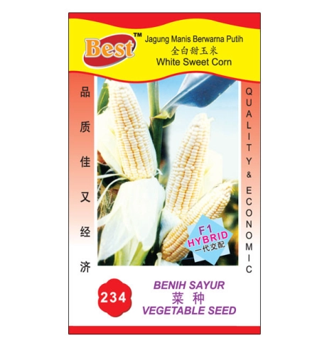 234 菜种 White Sweet Corn 全白甜玉米