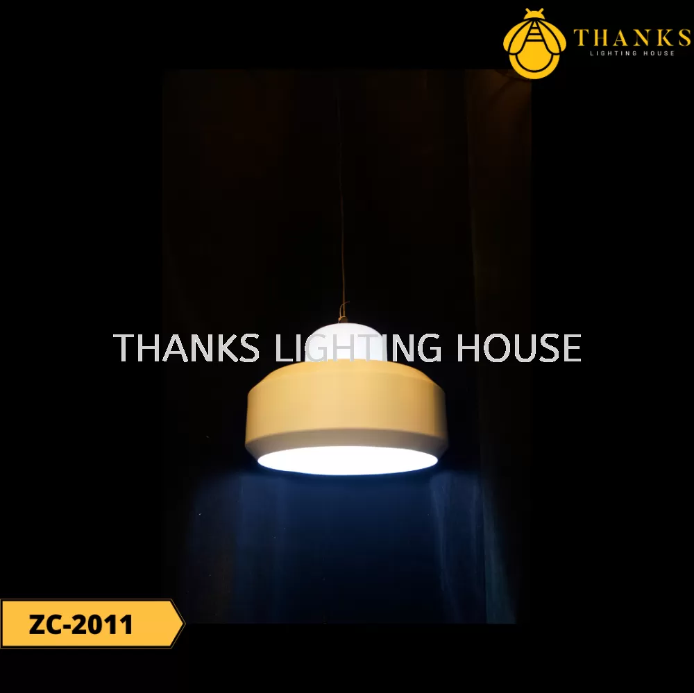 ZC-2011 Single Head Pendant Light