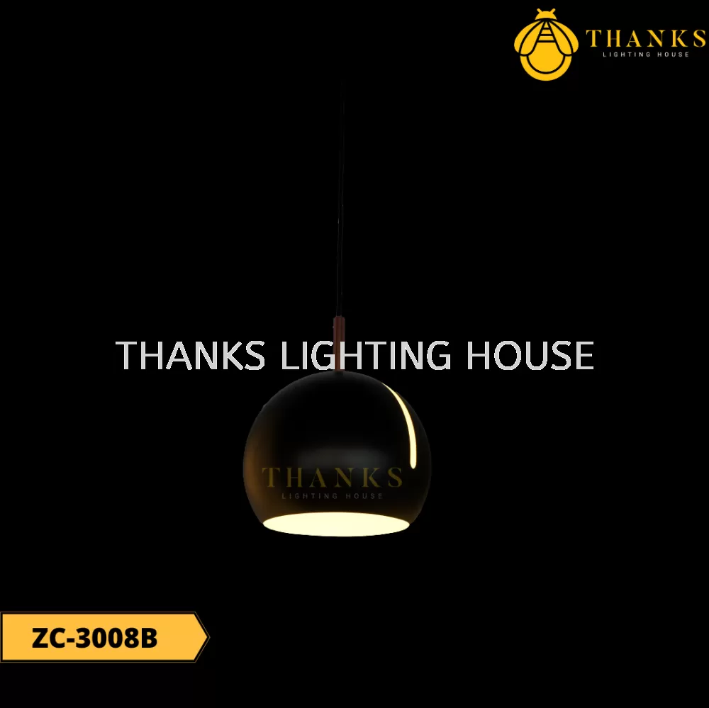 ZC-3008B Single Head Pendant Light