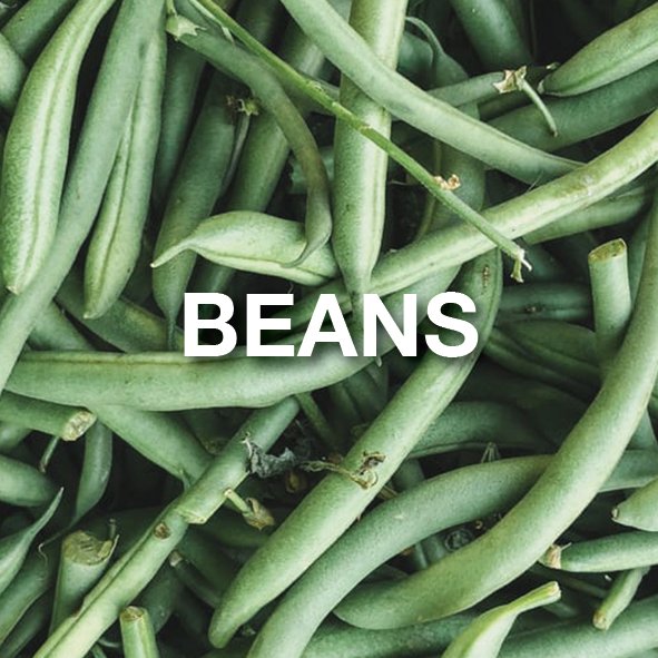Beans Vegetables Malaysia Mobile App Dudu Technologies Group Sdn Bhd