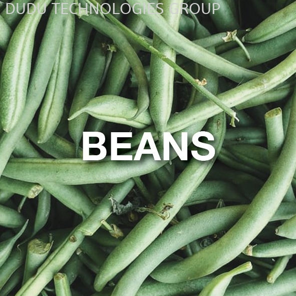 Beans Vegetables Malaysia Mobile App Dudu Technologies Group Sdn Bhd