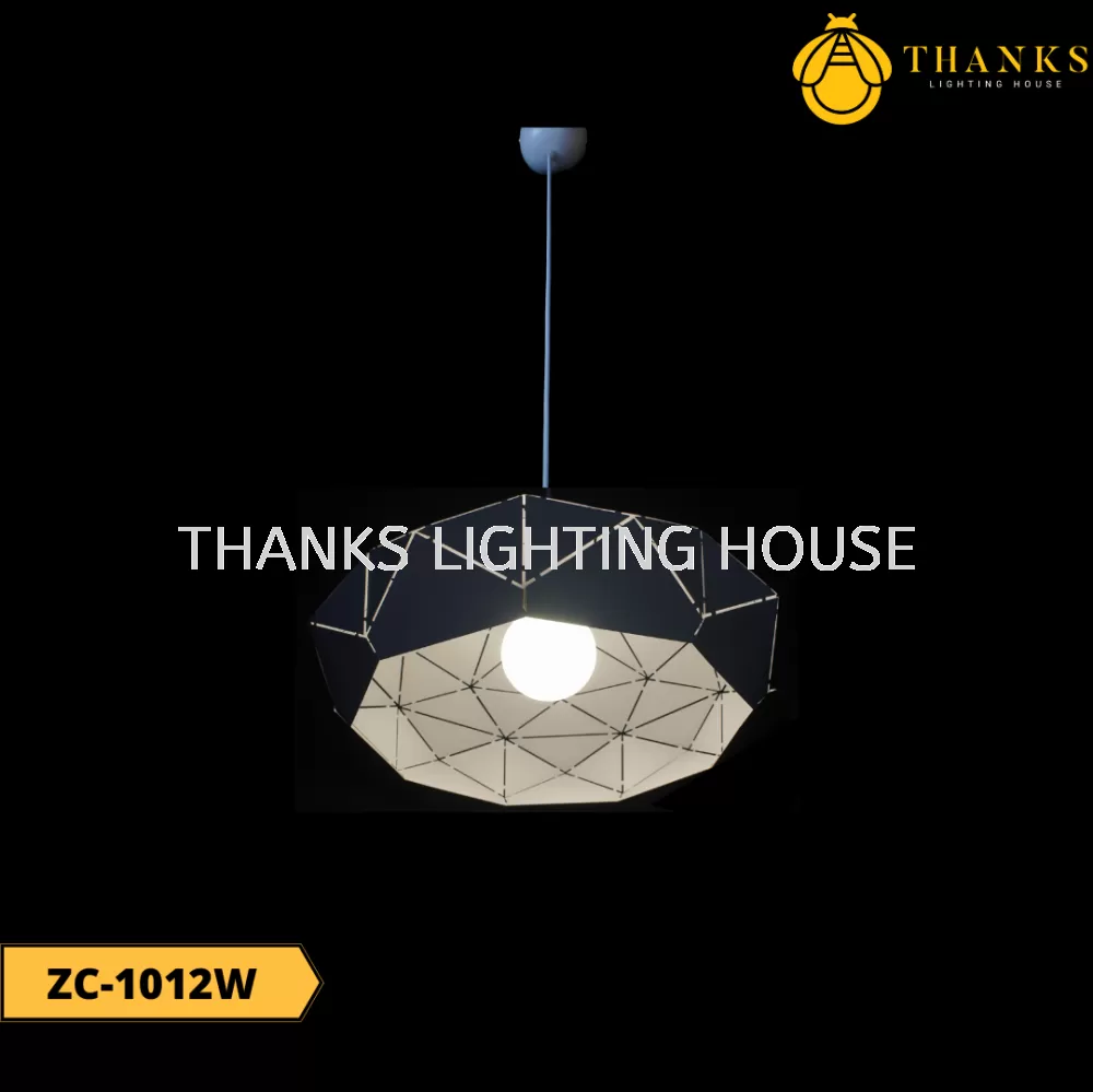 ZC-1012W Single Head Pendant Light