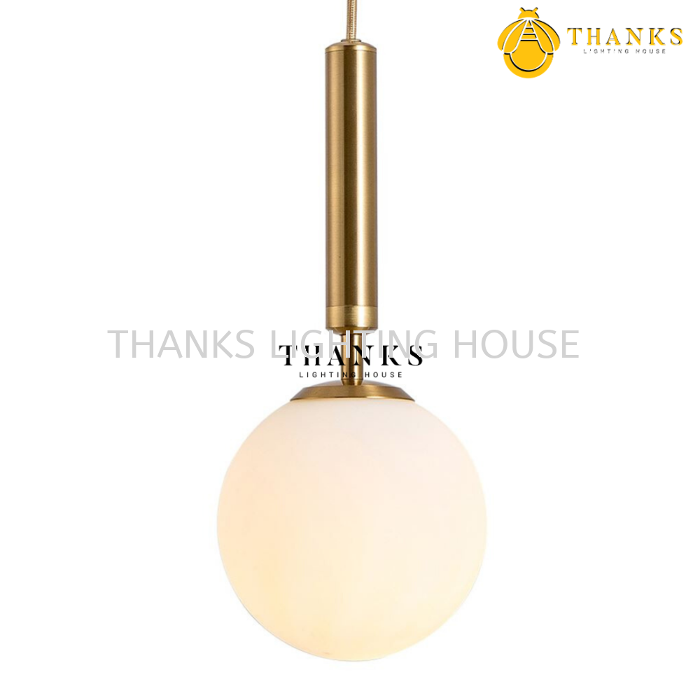 ZC-6010 Single Head Pendant Light