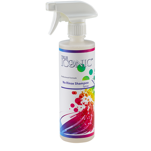 Buy True Iconic No Rinse Shampoo Spray 