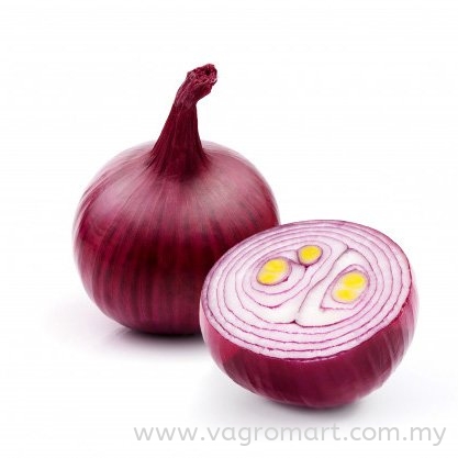Red Onion Vegetables Malaysia, Kuala Lumpur (KL), Selangor, Penang, Kedah, Sarawak Supplier, Suppliers, Supply, Supplies | FERLAB SDN BHD