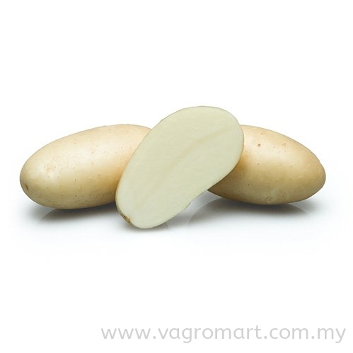 Holland Potato Vegetables Malaysia, Kuala Lumpur (KL), Selangor, Penang, Kedah, Sarawak Supplier, Suppliers, Supply, Supplies | FERLAB SDN BHD