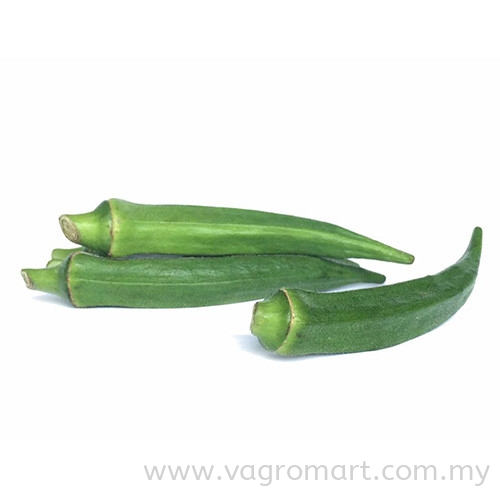 Bendi Vegetables Malaysia, Kuala Lumpur (KL), Selangor, Penang, Kedah, Sarawak Supplier, Suppliers, Supply, Supplies | FERLAB SDN BHD