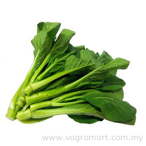 Kailan Vegetables Malaysia, Kuala Lumpur (KL), Selangor, Penang, Kedah, Sarawak Supplier, Suppliers, Supply, Supplies | FERLAB SDN BHD