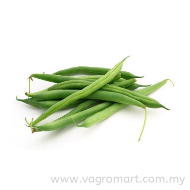 Kacang Buncis Vegetables Malaysia, Kuala Lumpur (KL), Selangor, Penang, Kedah, Sarawak Supplier, Suppliers, Supply, Supplies | FERLAB SDN BHD