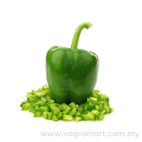 Green Capsicum Vegetables Malaysia, Kuala Lumpur (KL), Selangor, Penang, Kedah, Sarawak Supplier, Suppliers, Supply, Supplies | FERLAB SDN BHD