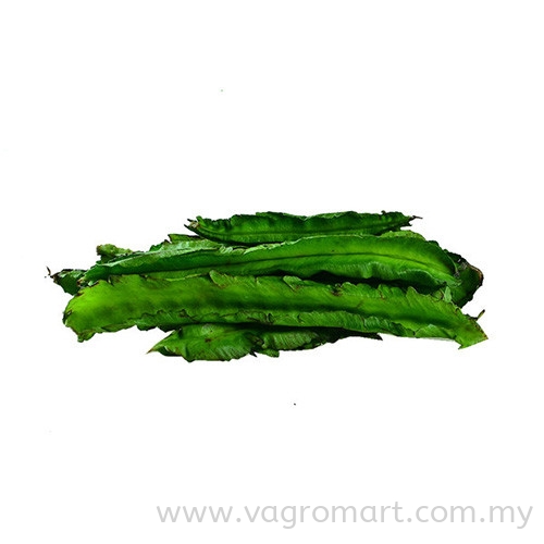 Kacang Botol Vegetables Malaysia, Kuala Lumpur (KL), Selangor, Penang, Kedah, Sarawak Supplier, Suppliers, Supply, Supplies | FERLAB SDN BHD