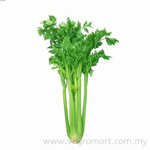 Daun Sup Vegetables Malaysia, Kuala Lumpur (KL), Selangor, Penang, Kedah, Sarawak Supplier, Suppliers, Supply, Supplies | FERLAB SDN BHD