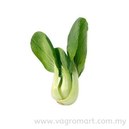 Siew Pak Choy Vegetables Malaysia, Kuala Lumpur (KL), Selangor, Penang, Kedah, Sarawak Supplier, Suppliers, Supply, Supplies | FERLAB SDN BHD