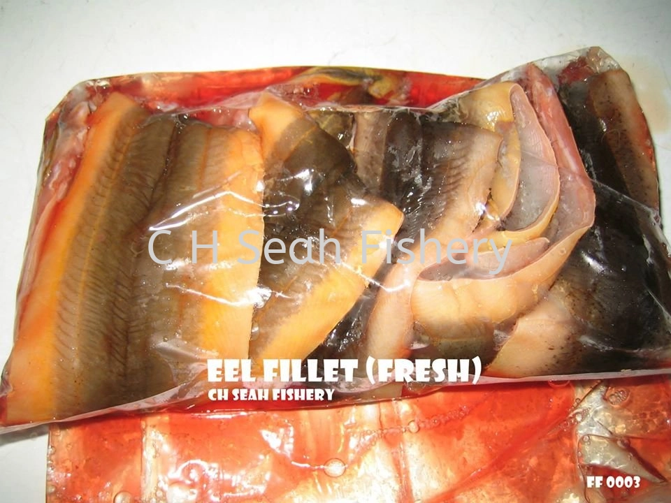 Fish Fillet Fresh Fish Fillet Selangor, Malaysia, Kuala Lumpur (KL ...