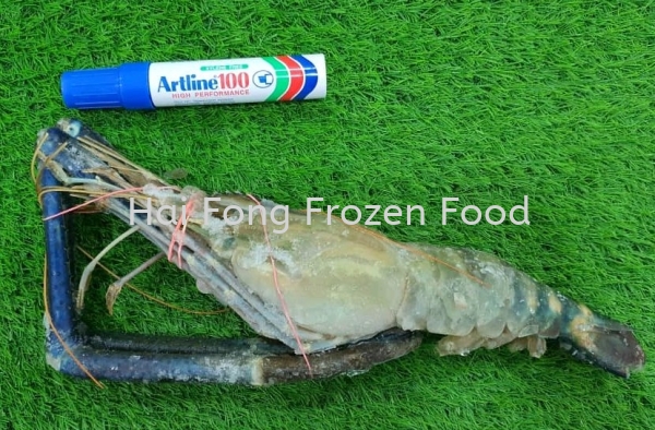 Fresh Water Prawn (U3)  Fresh Water Prawn (Scampi) Frozen Shrimp Kuala Lumpur (KL), Malaysia, Selangor Supplier, Suppliers, Supply, Supplies | Hai Fong Frozen Food Sdn Bhd