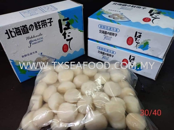 30/40 HOKKAIDO SCALLAP MEAT1KG FROZEN SHELL Selangor, Klang, Malaysia, Kuala Lumpur (KL) Supplier, Suppliers, Supply, Supplies | TX SEAFOOD SDN. BHD.