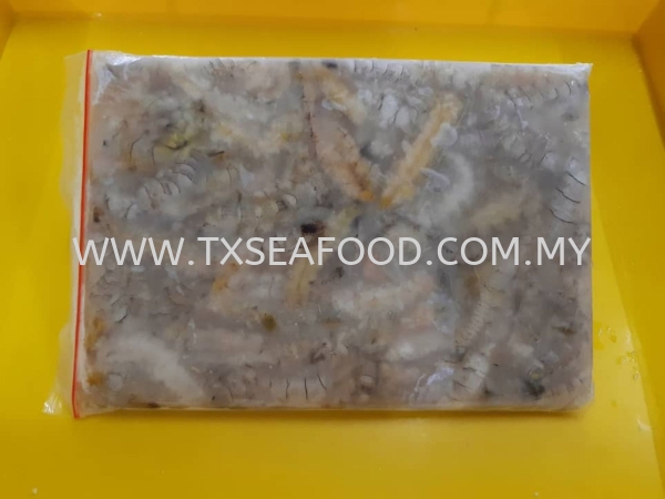 MANTIS BLACK Ϻ FROZEN PRAWN Selangor, Klang, Malaysia, Kuala Lumpur (KL) Supplier, Suppliers, Supply, Supplies | TX SEAFOOD SDN. BHD.