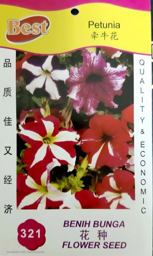 321 花种 Petunia 牵牛花