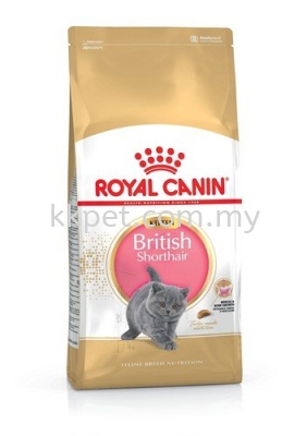 Royal Canin British Shorthair Kitten