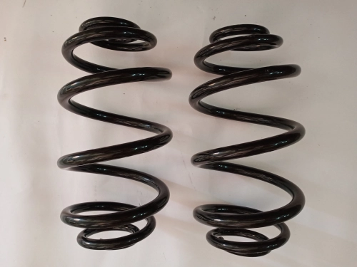 CS2-0694 COIL SPRING AVANZA F60# 04Y> (REAR)