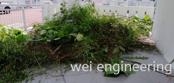 OTHER SERVICES - CUTTING GRASS/LORRY RENTAL  Other Services - Cutting Grass/Lorry Renteal Penang, Malaysia, Simpang Ampat Supplier, Installation, Supply, Supplies | WEI ENGINEERING SDN. BHD.