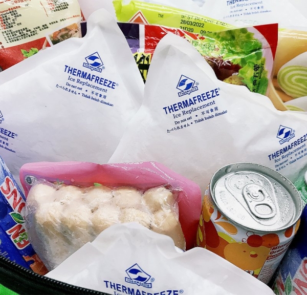 Cooler Packs Thermafreeze ® F10 Reusable Ice Pack Malaysia, Selangor, Kuala Lumpur (KL), Petaling Jaya (PJ) Manufacturer, Supplier, Supply, Supplies | Thermarite (Malaysia) Sdn Bhd