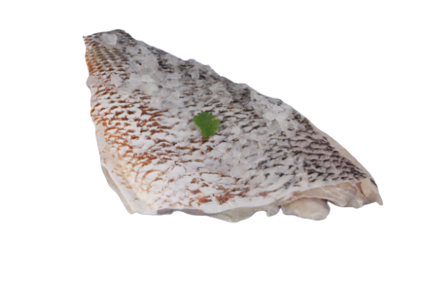 John Snapper Fillet Fish Kuala Lumpur (KL), Malaysia, Selangor, Rawang Supplier, Wholesaler, Supply, Supplies | Starlicious Sdn Bhd