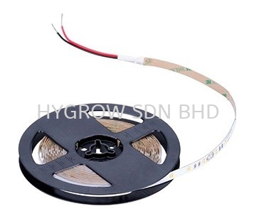 PHILIPS LED Flex Strip (LS155S) Indoor Lighting Selangor, Malaysia, Kuala Lumpur (KL), Penang, Kajang, Ayer Itam Supplier, Suppliers, Supply, Supplies | Hygrow Sdn Bhd