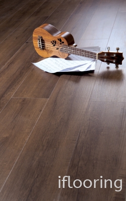 GENFLOR EVO Series 5.0MM GE814 SPC CLICK FLOORING