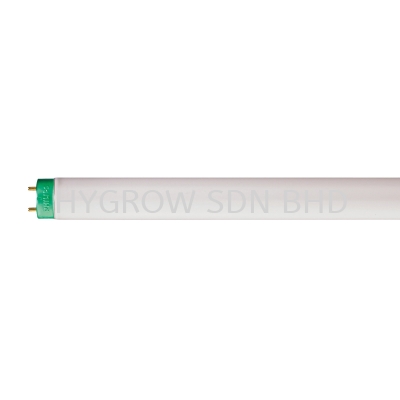 PHILIPS TL-D Super 80 T8 Fluorescent Tube