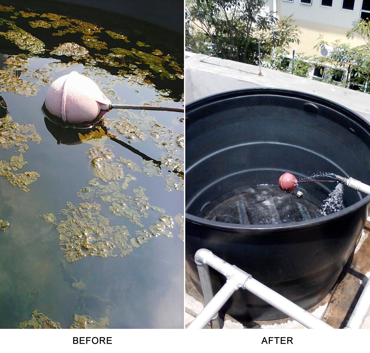 Cleaning Dirty Water Tank Piping Plumbing Works Selangor Malaysia Kuala Lumpur Kl Shah Alam Service